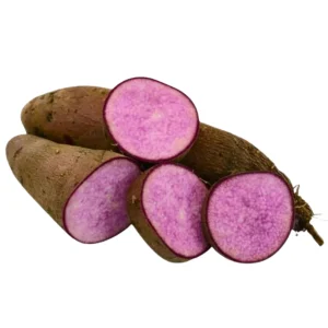Purple yam (Rajala)