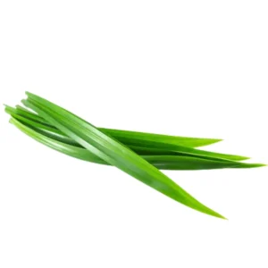 Pandan Leves (Rampe)