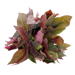 Red Amaranth (Red Thampala)