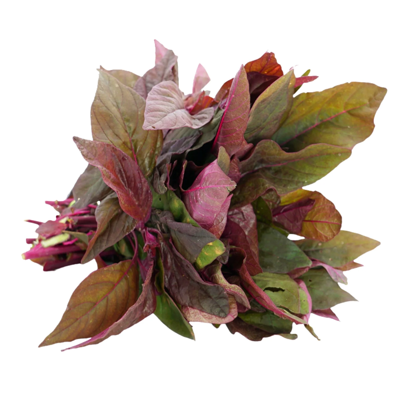 Red Amaranth (Red Thampala)