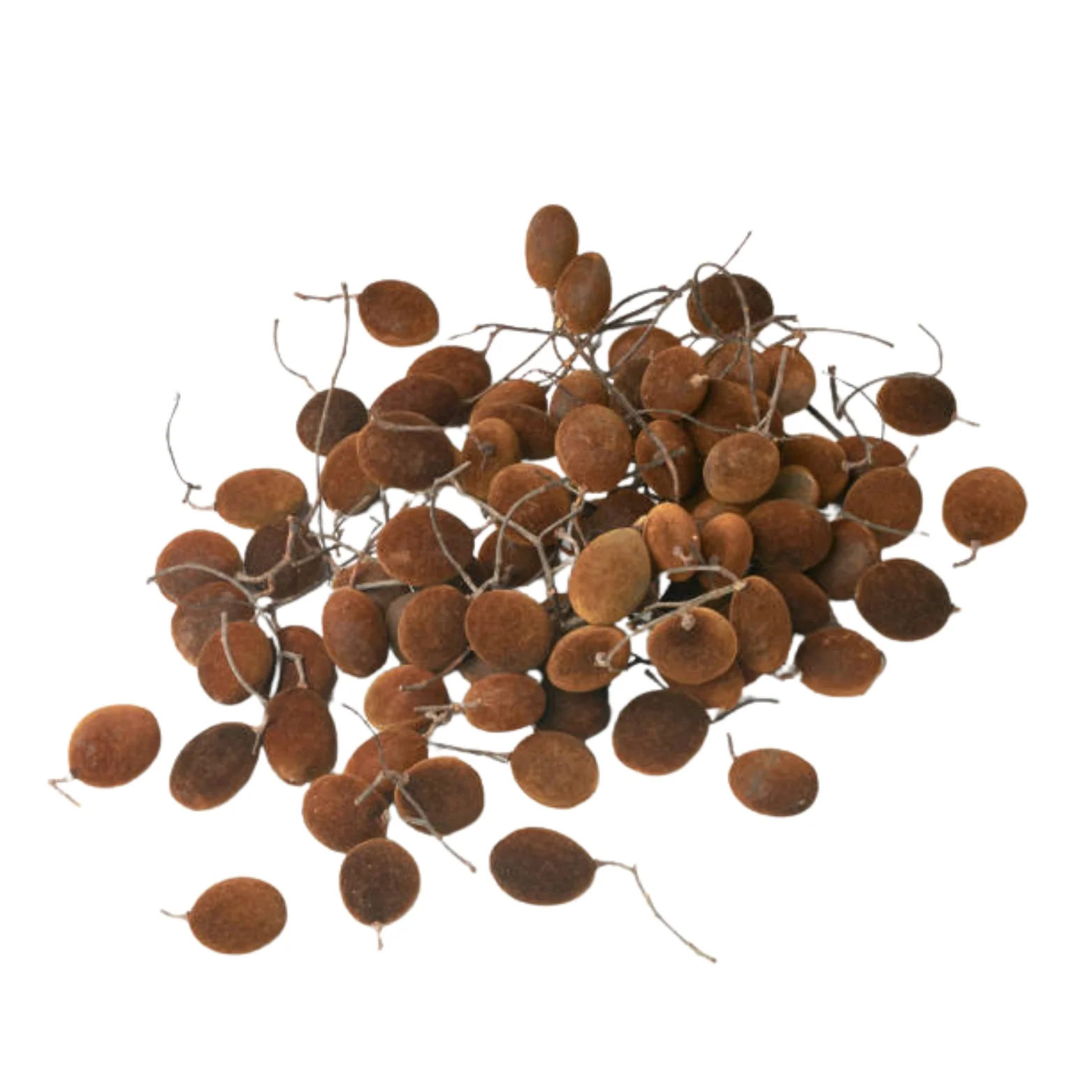 Velvet Tamarind