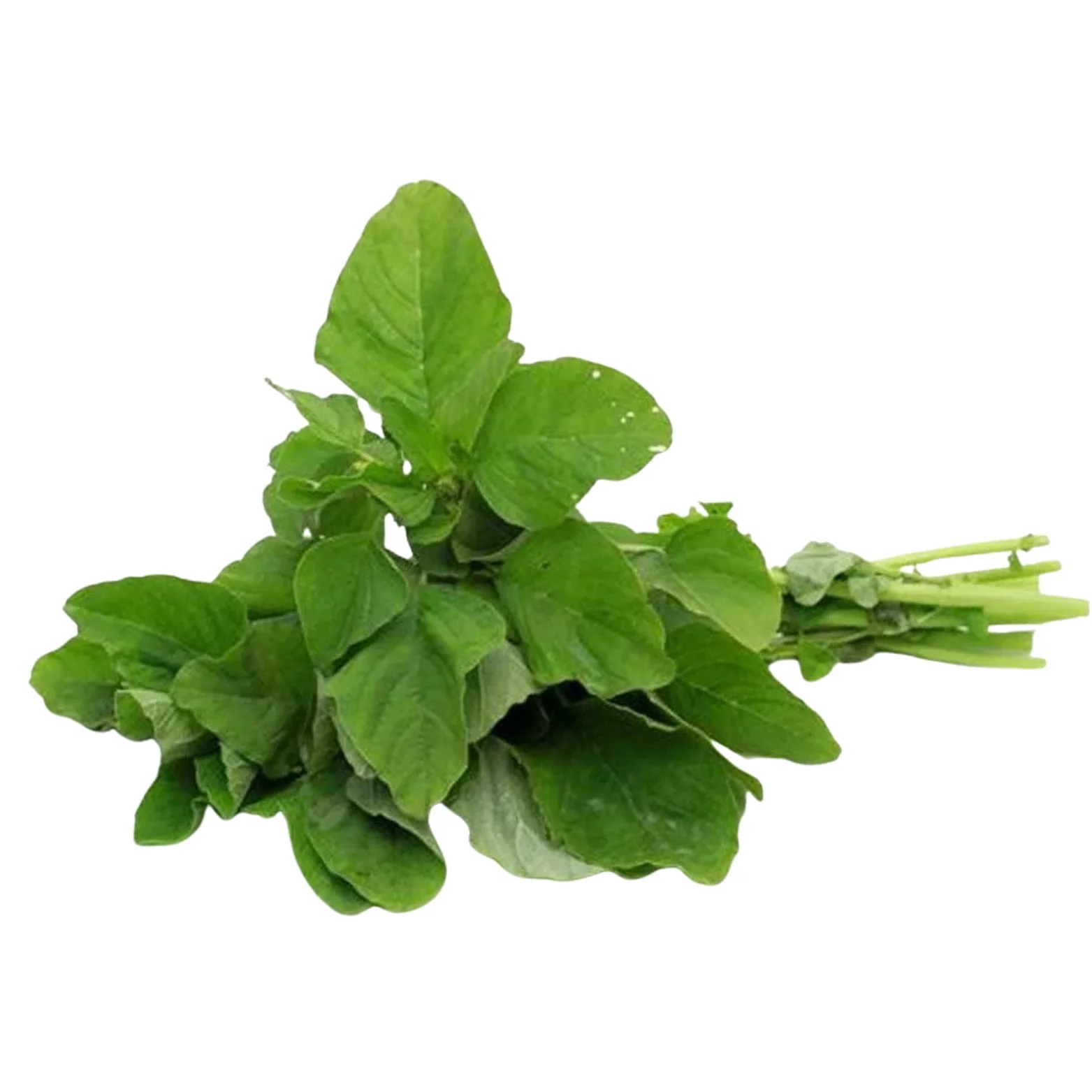 Amaranth (Green Thampala )