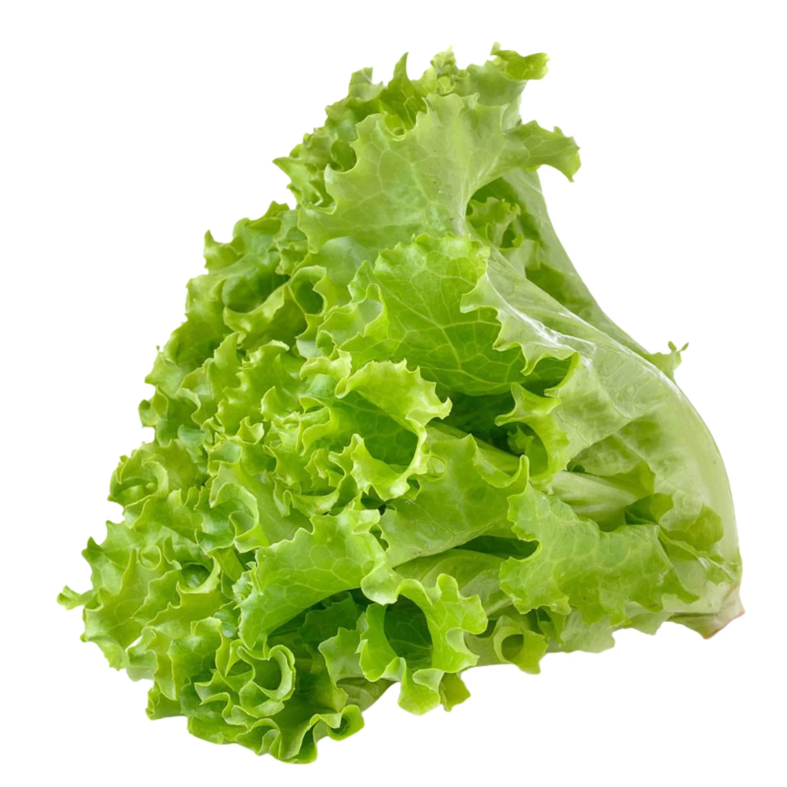 Lettuce