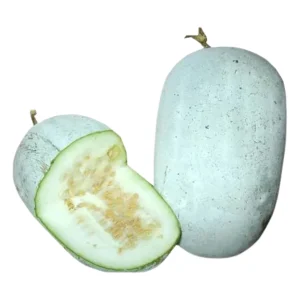 Ash gourd