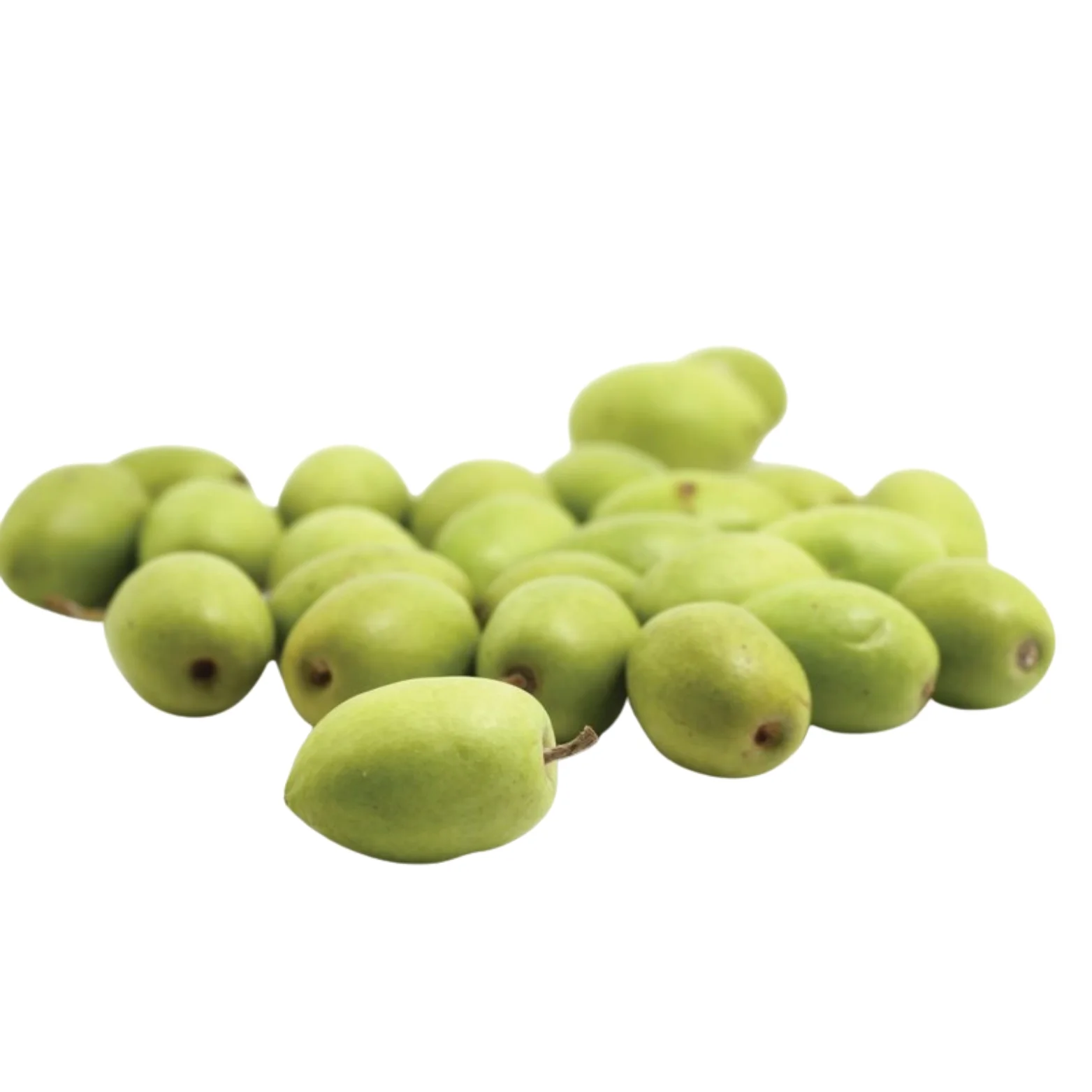 Ceylon Olive
