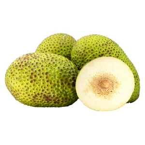 Bread Fruit