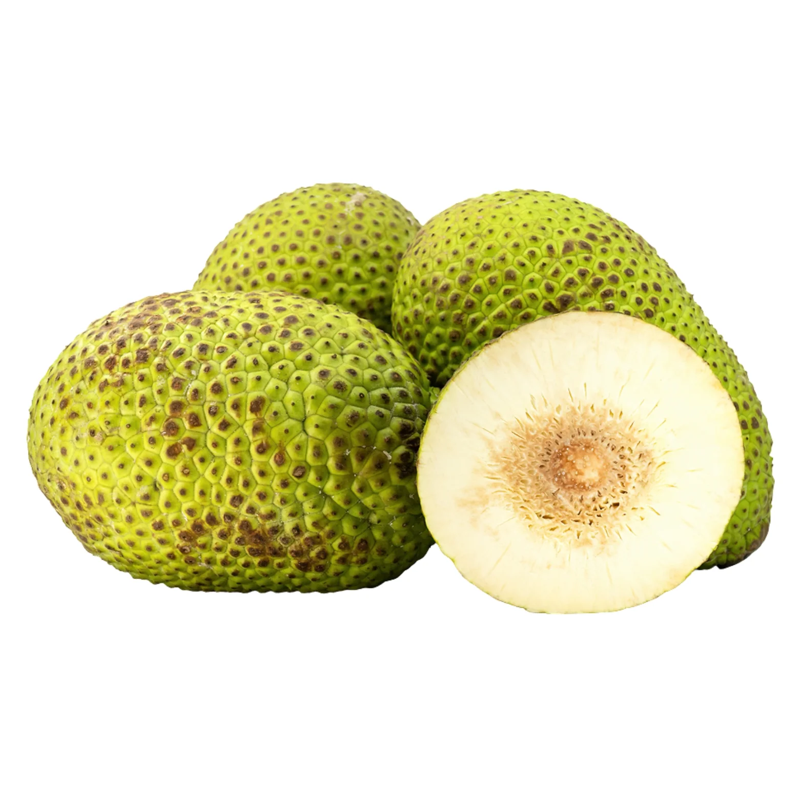 Bread Fruit