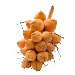 King coconut