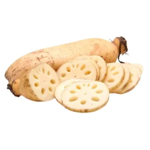 Lotus Root