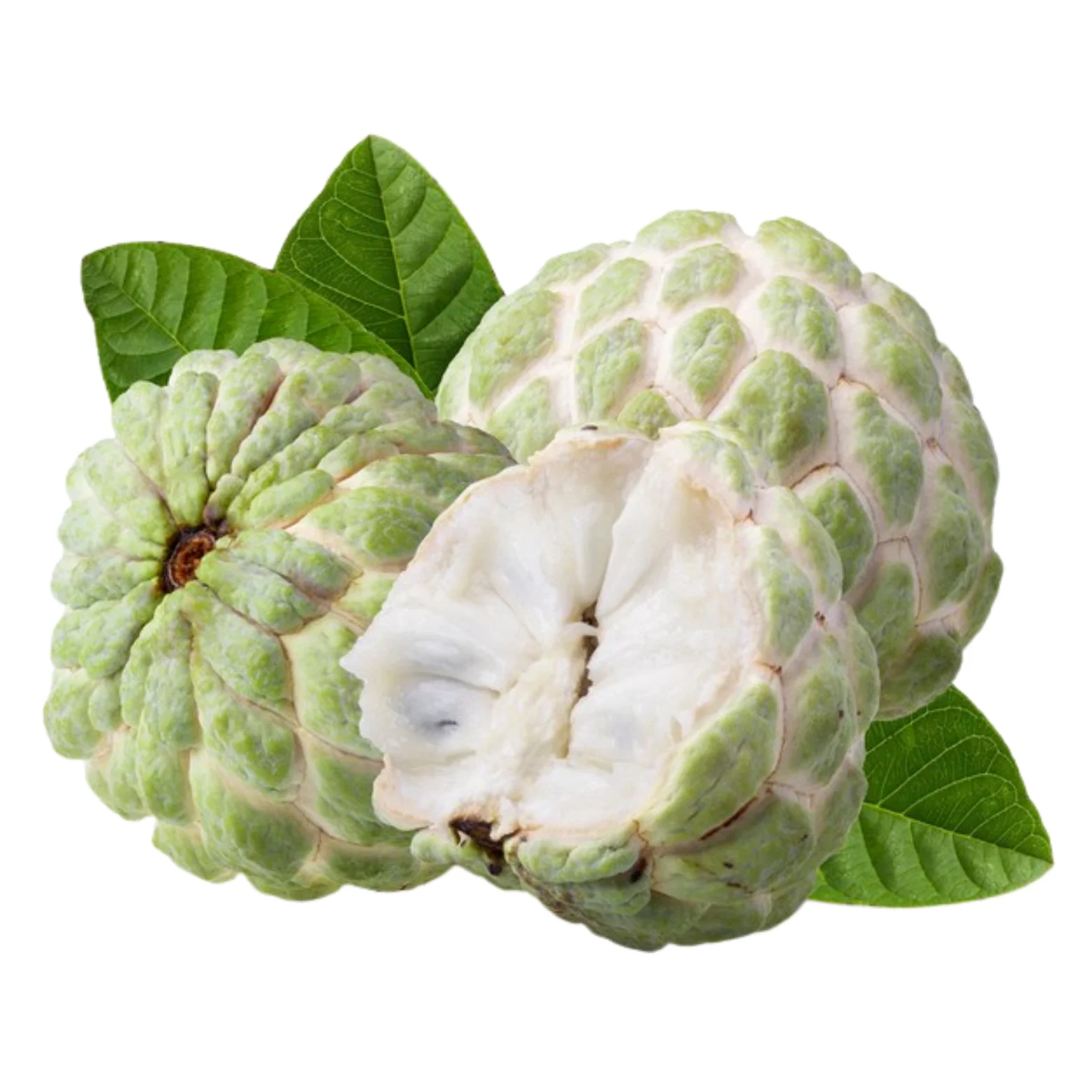 Custard apple