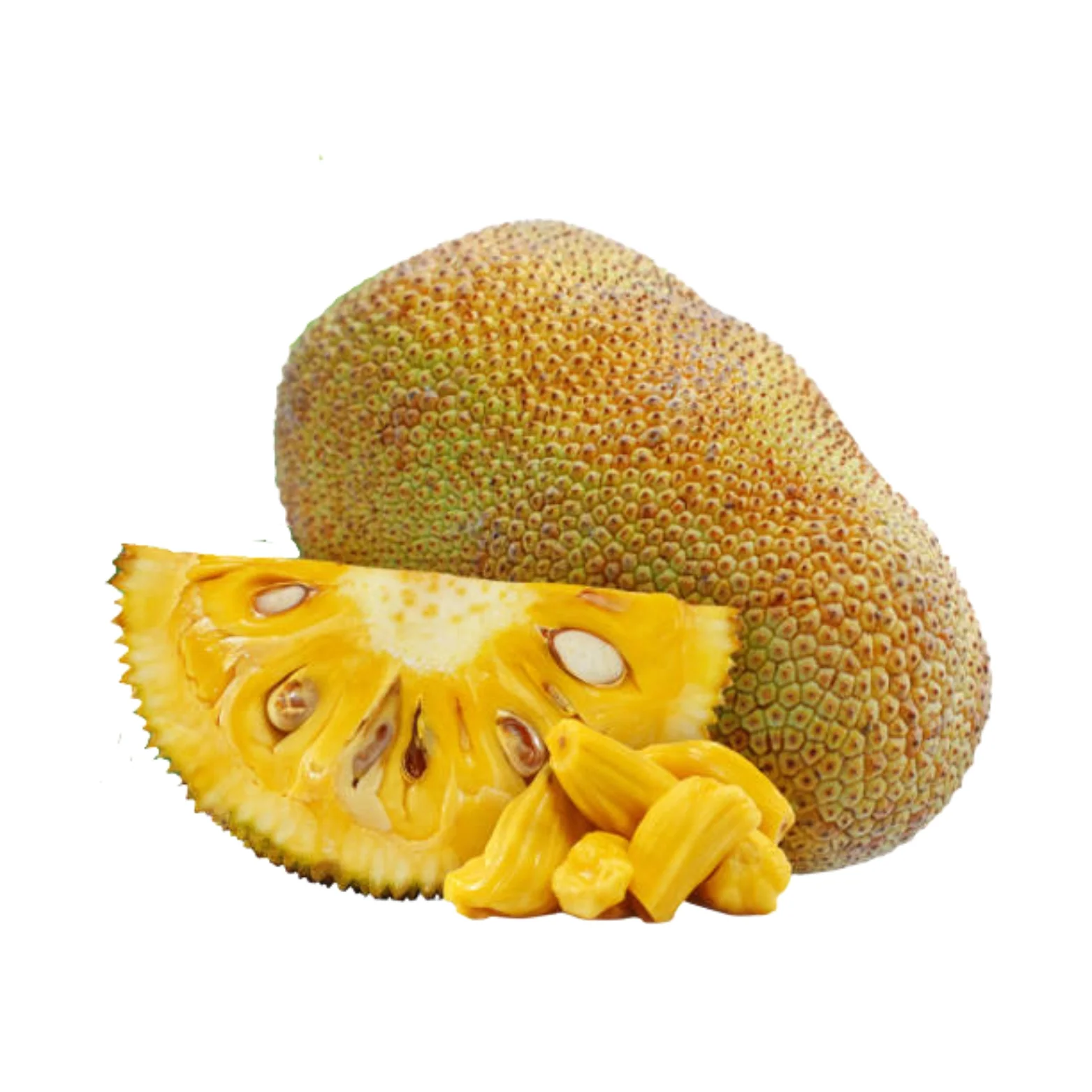 Ripe jackfruit