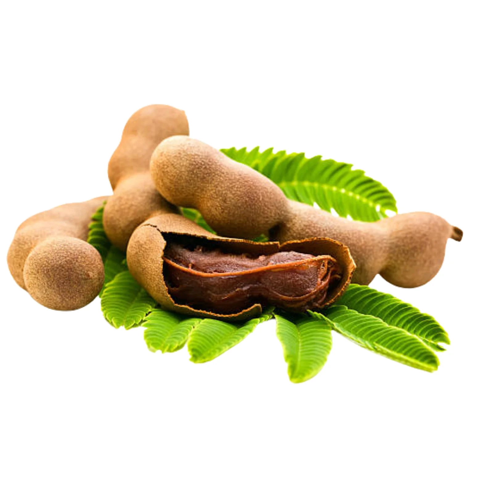 Tamarind