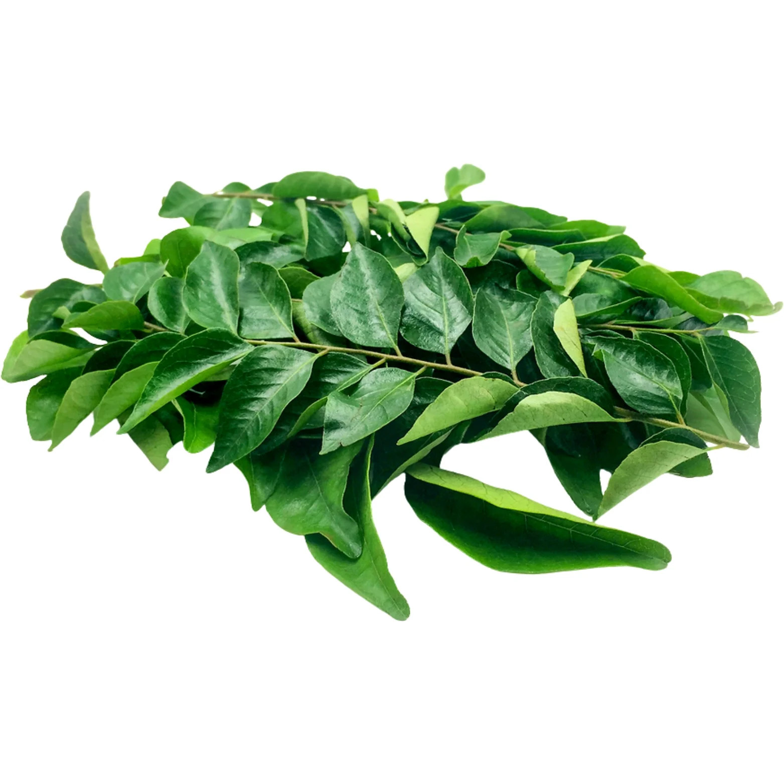 Curry Leaves