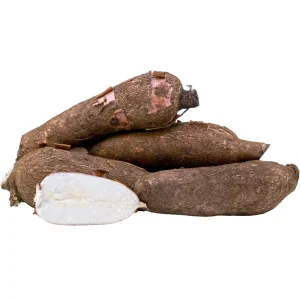 Cassava