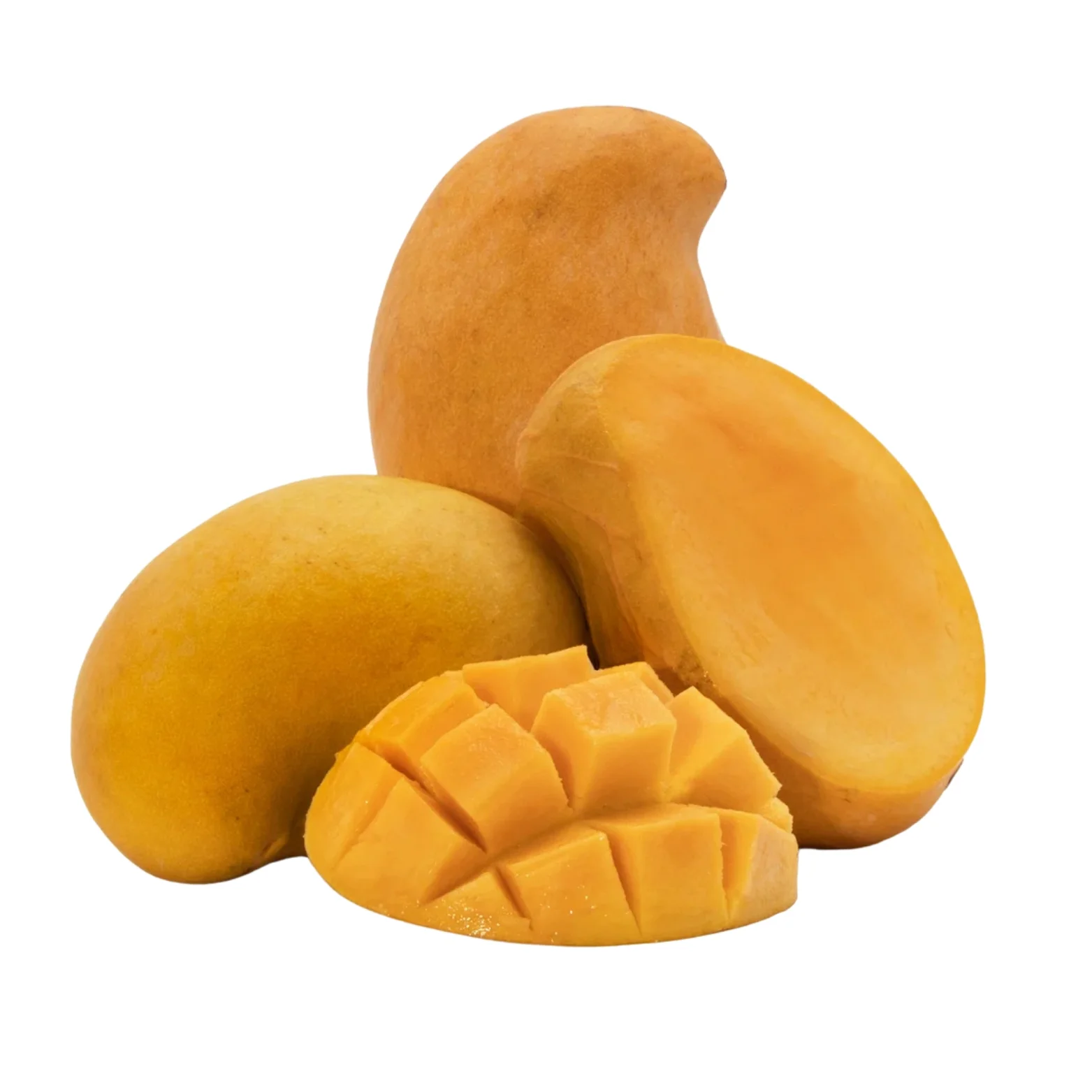 TJC Mango (TomEJC Mango)