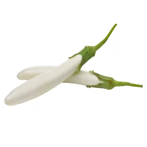 White Long Brinjal