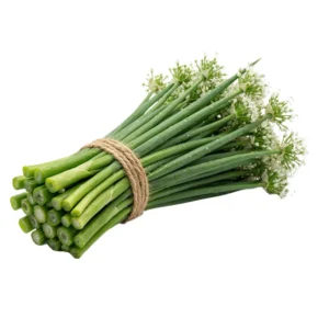 Onion Flowers