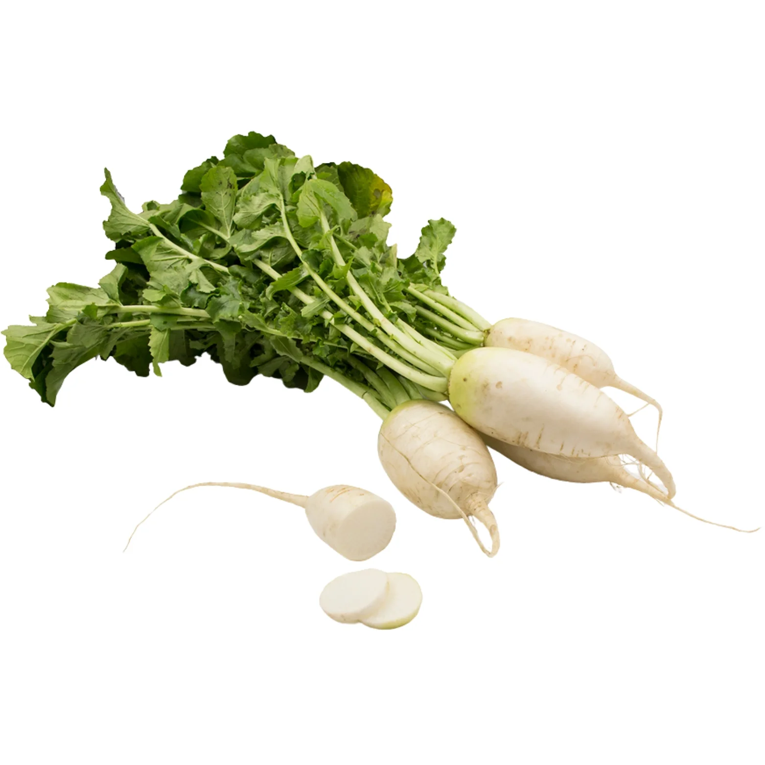 White Radish
