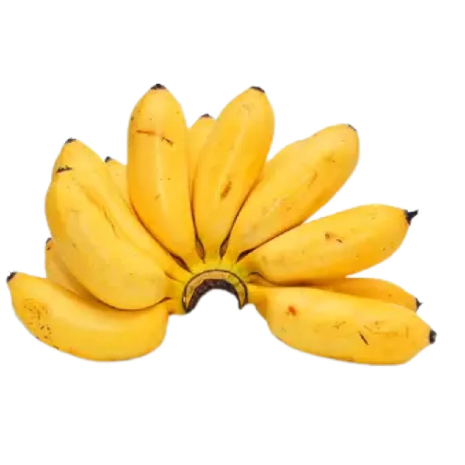 Kolikuttu Banana