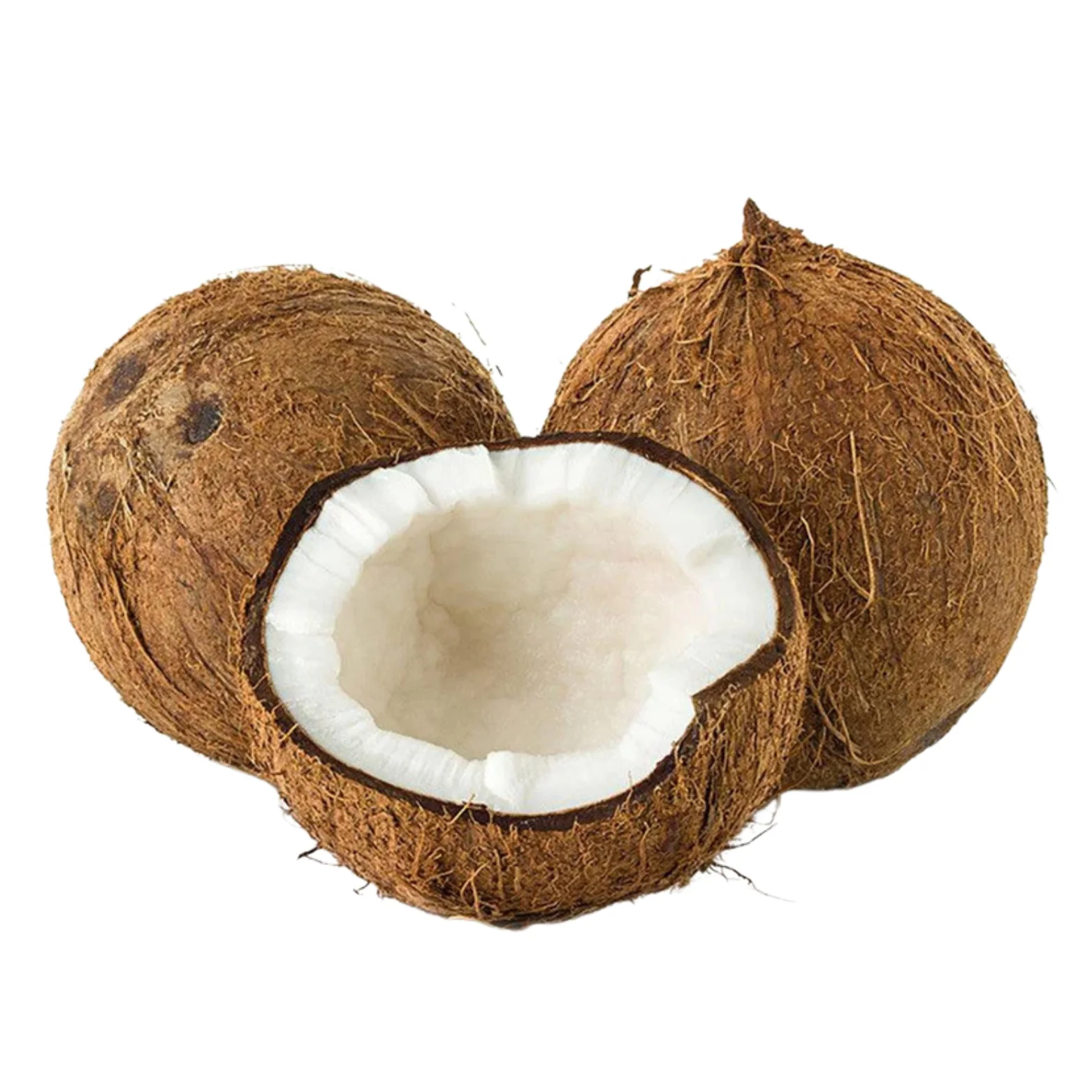 Coconut