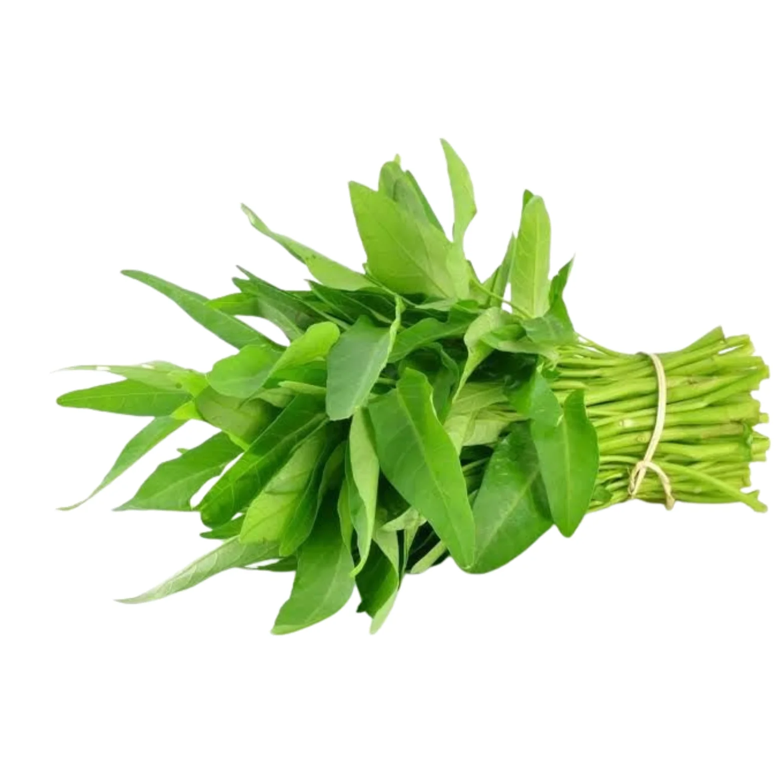 Water Spinach (Kangkung)