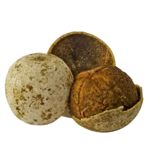 Wood apple