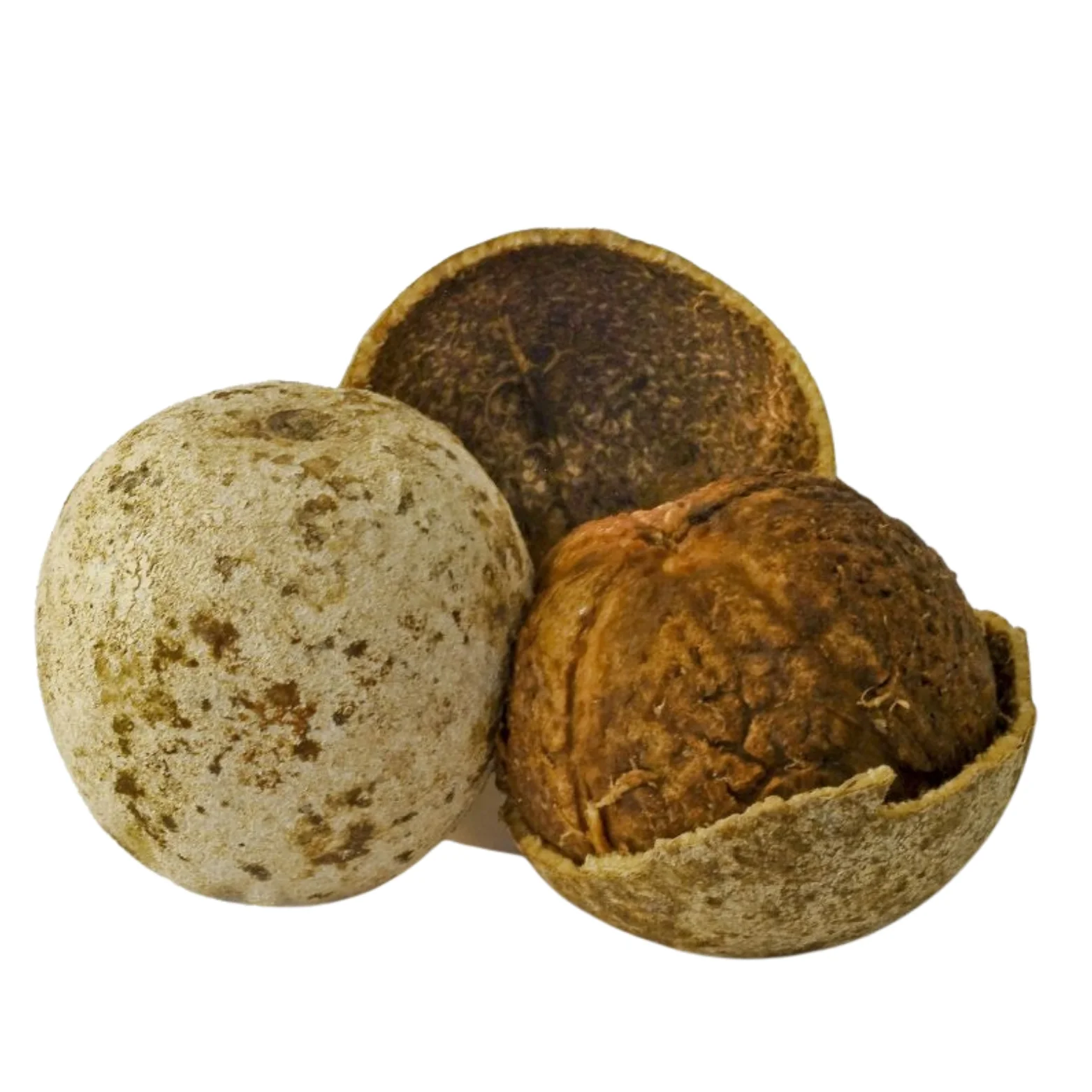 Wood apple