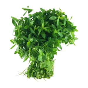 Sessile Joyweed (Mukunuwenna)