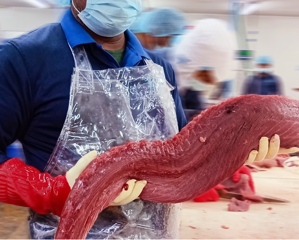 Yellowfin tuna cutting