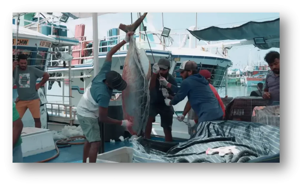 Tuna